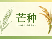 今日芒种｜暴雨+高温，安全勿松弛